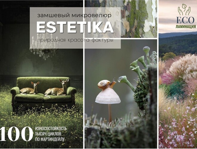 Коллекция Estetika